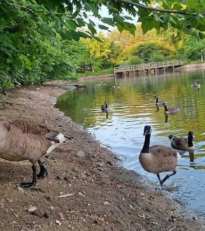 Herricks Pond - Williston Park, NY