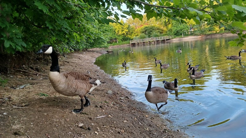 Herricks Pond - Williston Park, NY