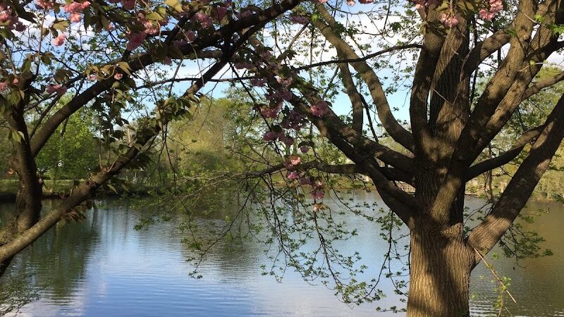 Herricks Pond - Williston Park, NY
