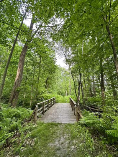 Overlook Park - Williston, VT