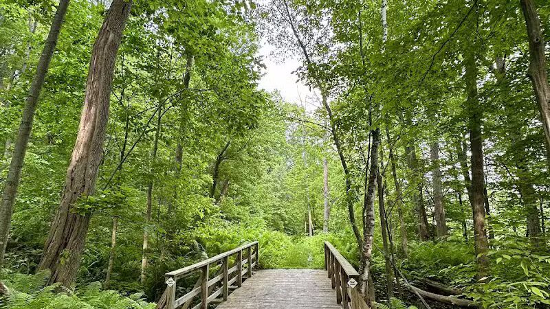 Overlook Park - Williston, VT