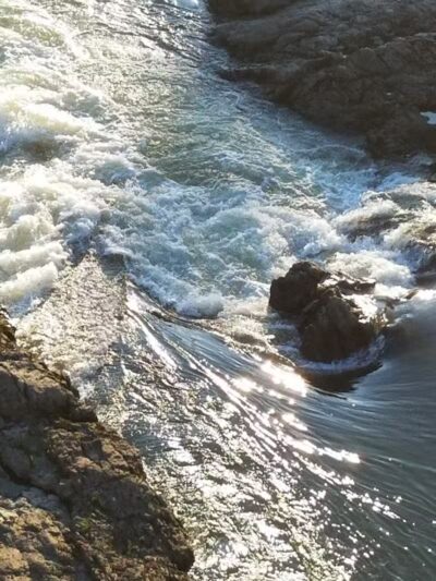 Overlook Park - Williston, VT