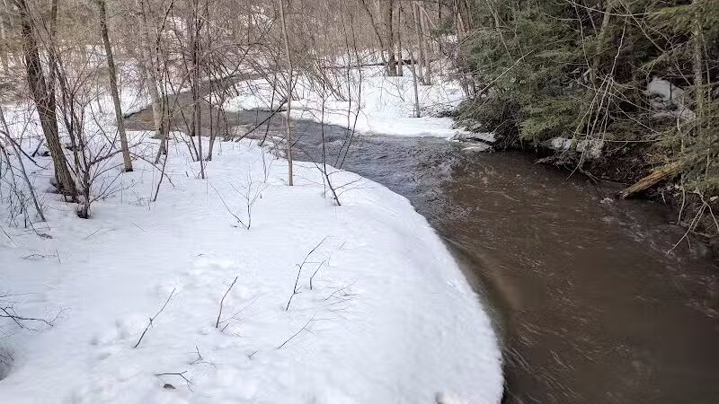 Sucker Brook Hollow Country Park - Williston, VT