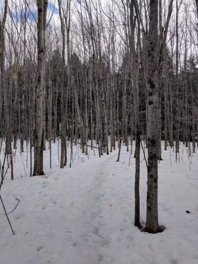 Sucker Brook Hollow Country Park - Williston, VT