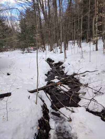 Sucker Brook Hollow Country Park - Williston, VT