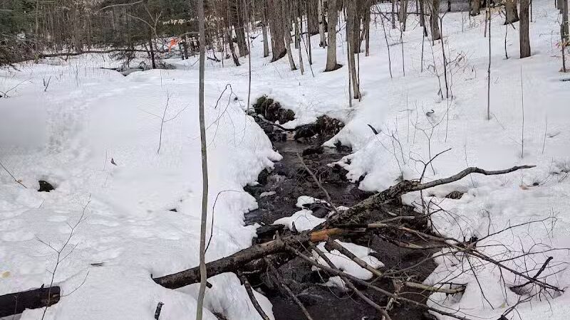 Sucker Brook Hollow Country Park - Williston, VT