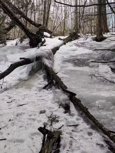 Sucker Brook Hollow Country Park - Williston, VT
