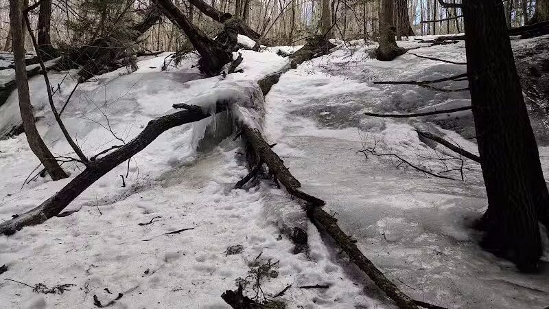 Sucker Brook Hollow Country Park - Williston, VT