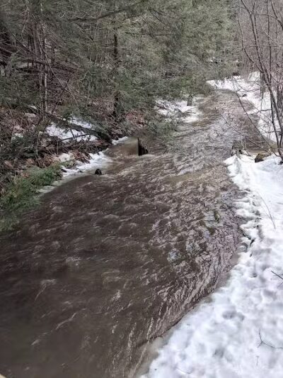 Sucker Brook Hollow Country Park - Williston, VT