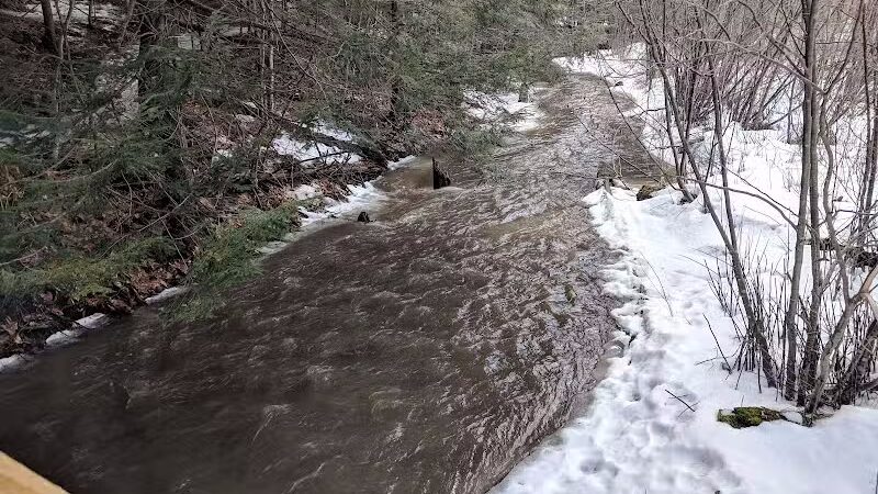 Sucker Brook Hollow Country Park - Williston, VT
