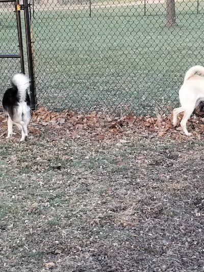 City of Willmar - Dog Park - Willmar, MN