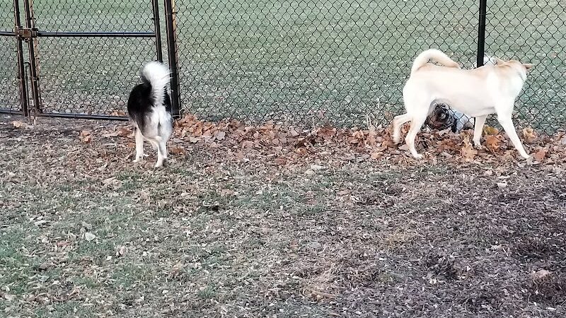 City of Willmar - Dog Park - Willmar, MN