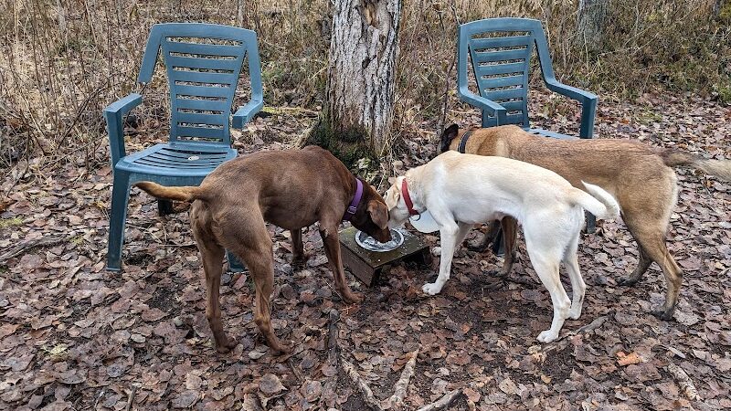 Willow Creek Dog Park - Willow, AK