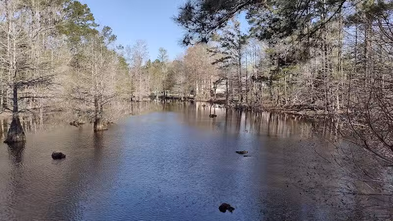 Abbey Nature Preserve - Wilmington, NC