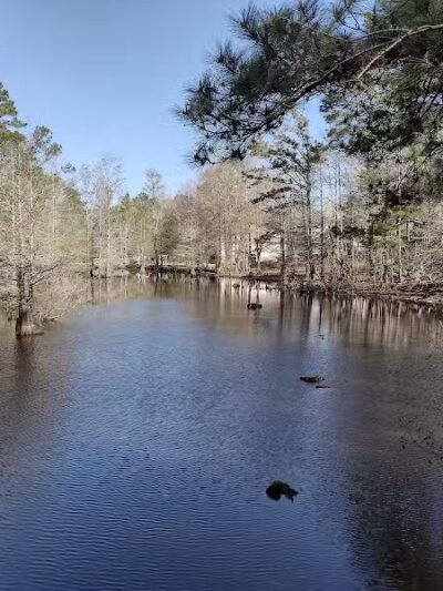 Abbey Nature Preserve - Wilmington, NC