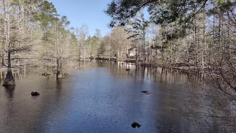 Abbey Nature Preserve - Wilmington, NC