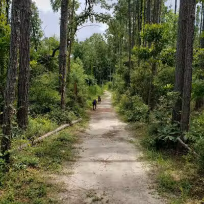 Abbey Nature Preserve - Wilmington, NC