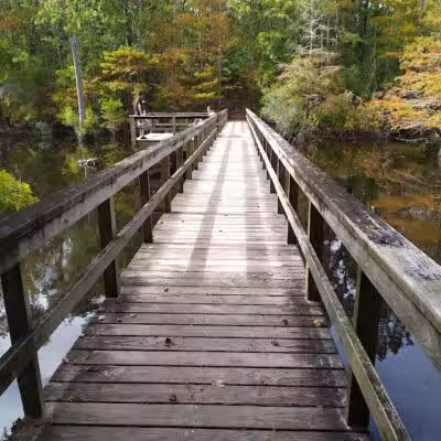 Abbey Nature Preserve - Wilmington, NC