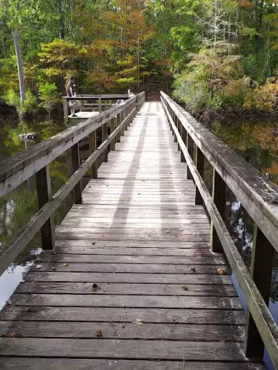 Abbey Nature Preserve - Wilmington, NC