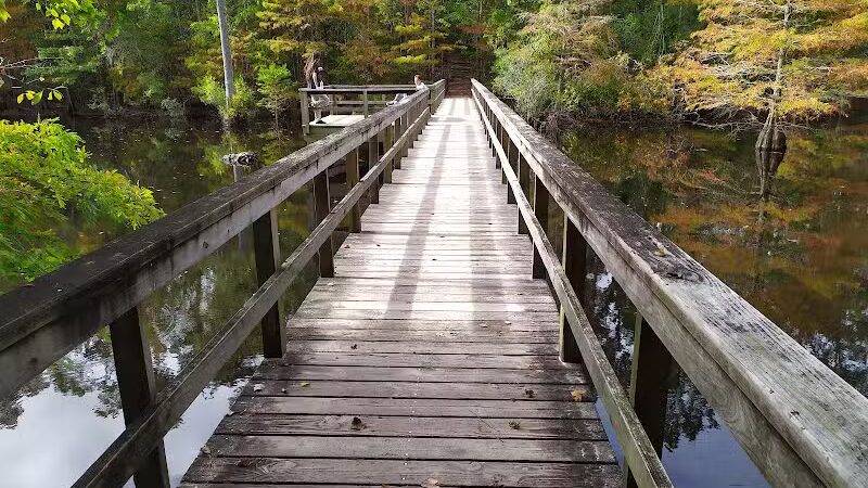 Abbey Nature Preserve - Wilmington, NC