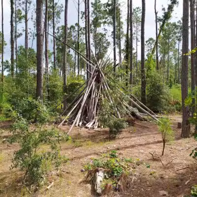 Abbey Nature Preserve - Wilmington, NC