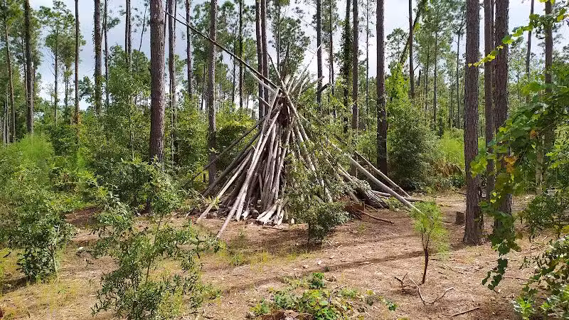 Abbey Nature Preserve - Wilmington, NC