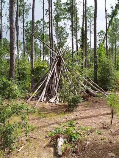 Abbey Nature Preserve - Wilmington, NC