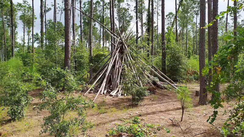 Abbey Nature Preserve - Wilmington, NC