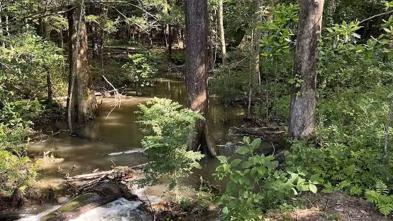 Abbey Nature Preserve - Wilmington, NC