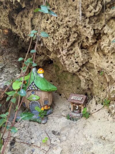 Abbey Nature Preserve - Wilmington, NC