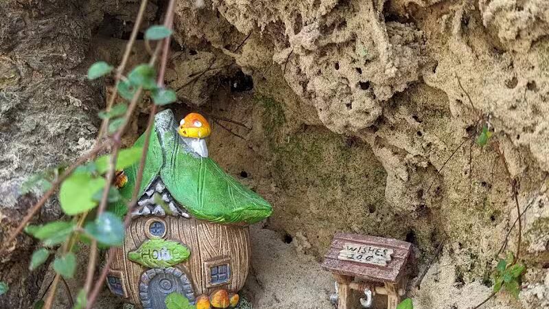 Abbey Nature Preserve - Wilmington, NC