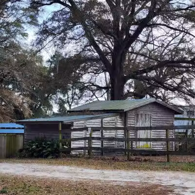Abbey Nature Preserve - Wilmington, NC