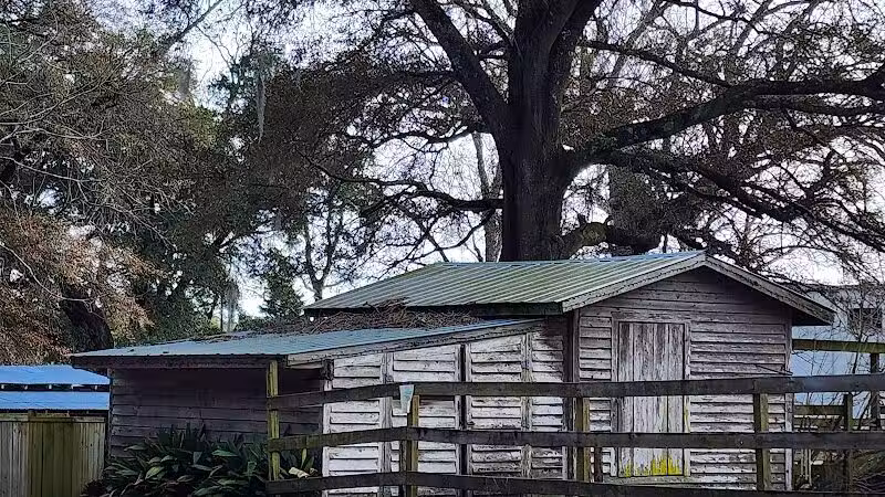 Abbey Nature Preserve - Wilmington, NC