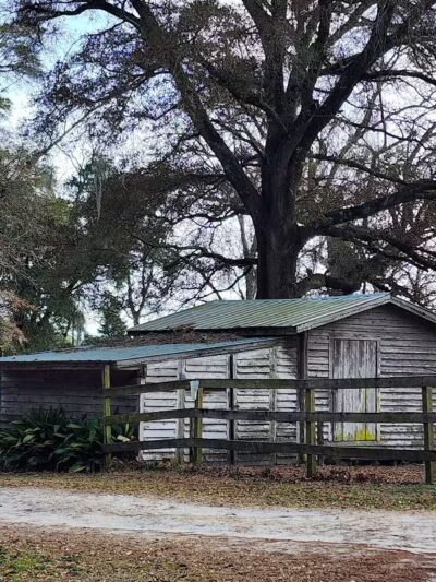Abbey Nature Preserve - Wilmington, NC