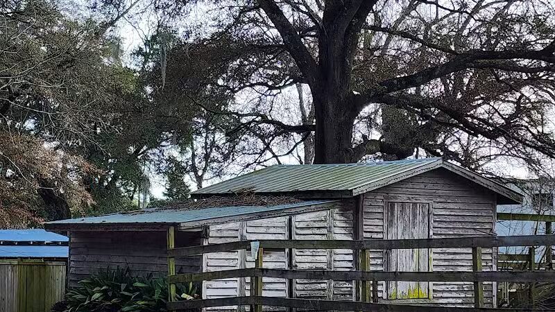 Abbey Nature Preserve - Wilmington, NC