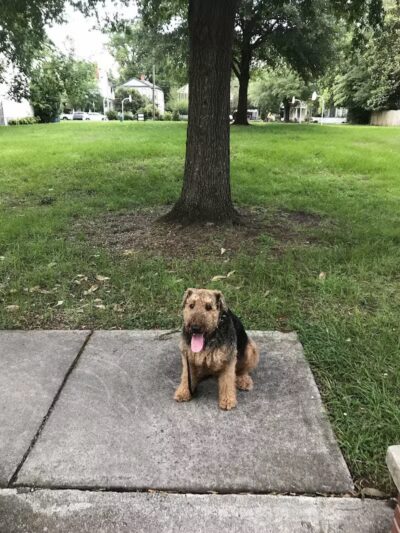 Bicentennial Park - Wilmington, NC