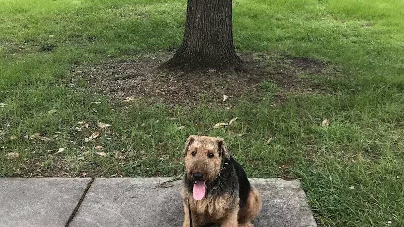 Bicentennial Park - Wilmington, NC