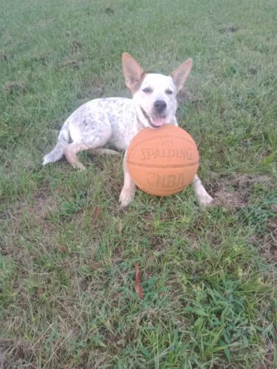 Cameron Park - Wilmington, NC