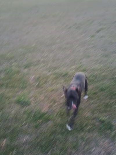 Cameron Park - Wilmington, NC