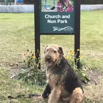 Church & Nun Park - Wilmington, NC