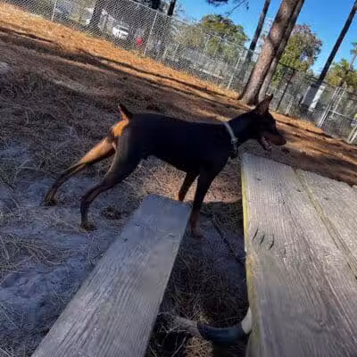 Empie Park - Wilmington, NC