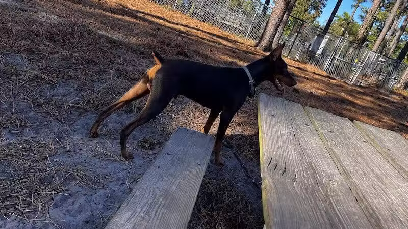 Empie Park - Wilmington, NC