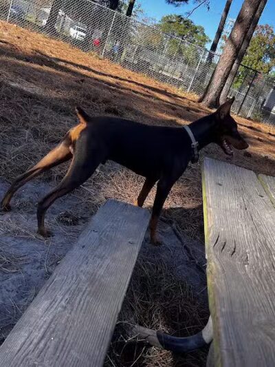 Empie Park - Wilmington, NC