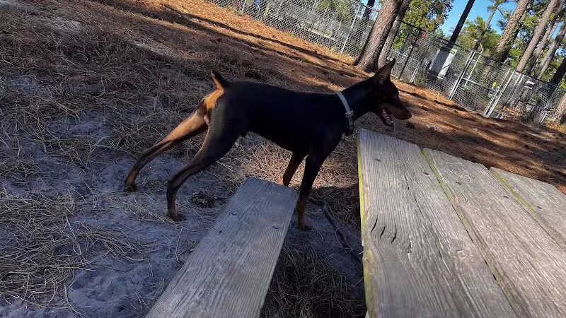 Empie Park - Wilmington, NC