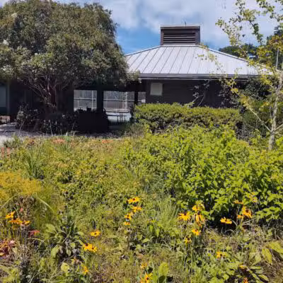 Empie Park - Wilmington, NC