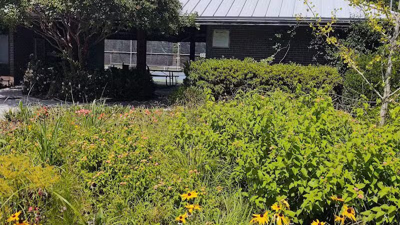 Empie Park - Wilmington, NC