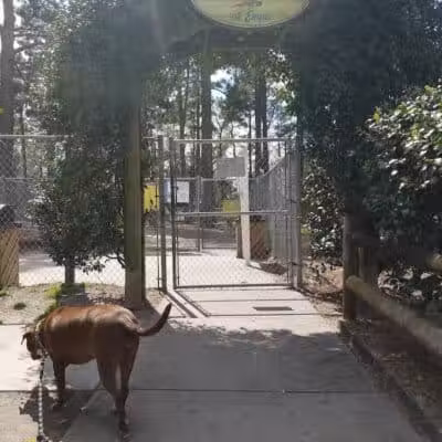Empie Park - Wilmington, NC