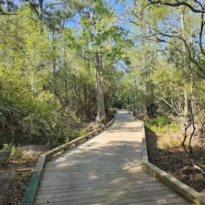 Hanover Pines Nature Park - Wilmington, NC