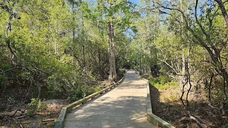 Hanover Pines Nature Park - Wilmington, NC