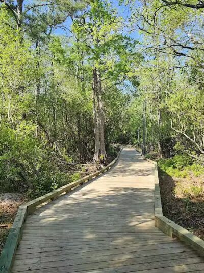 Hanover Pines Nature Park - Wilmington, NC